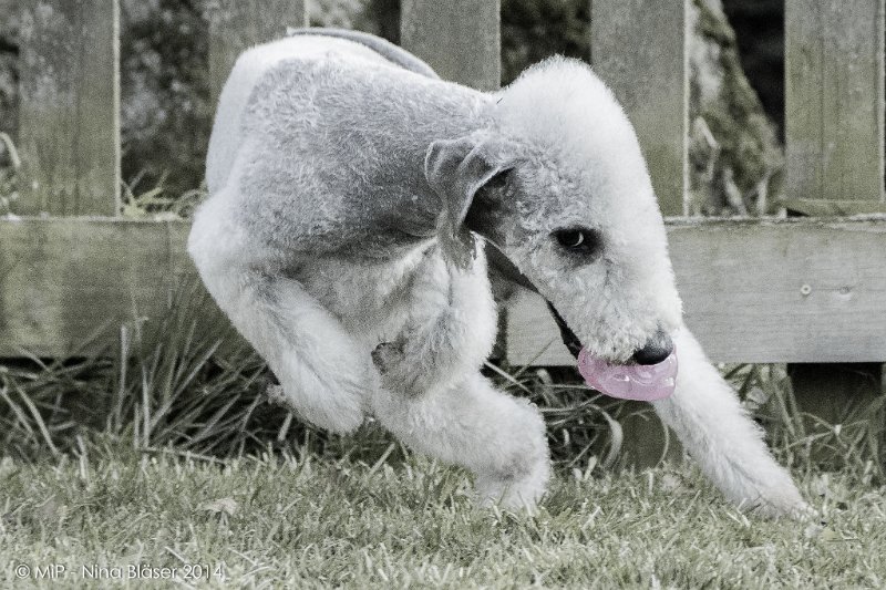 2014-03-14 Svet-8067.jpg